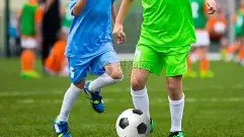 亚冬会冲刺筹备正当时